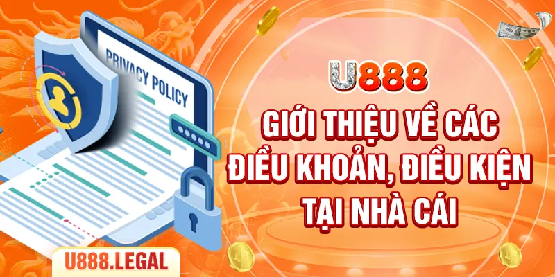 Giới thiệu về các điều khoản, điều kiện tại nhà cái