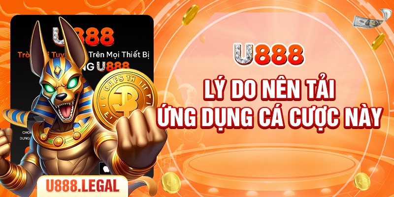 Lý do nên tải ứng dụng cá cược này